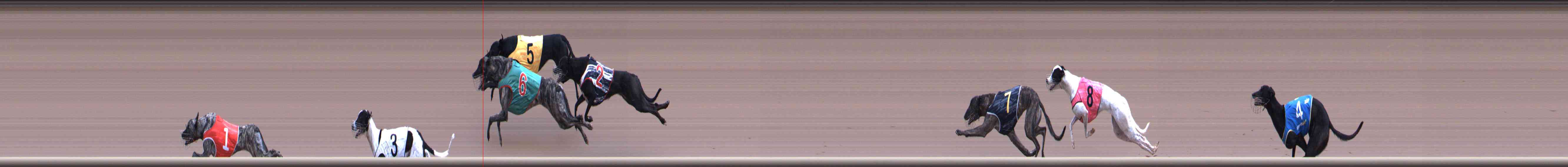 Race result finish photo